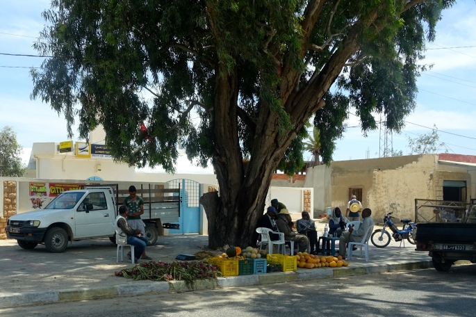 Men under shady tree. Tunisia